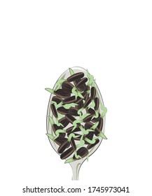 
Microgreen. Sprouted seeds in a spoon. Close-up. Color image on a white background. There is a place for text. Vector illustration.