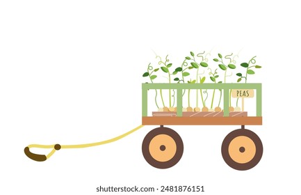 Microgreen in wheelbarrow vector healthy nutrition of vegetable in wheel barrow for vegetarians eating farming food illustration farmer harvest festival ,autumn and summer microgreen ,garden tool.