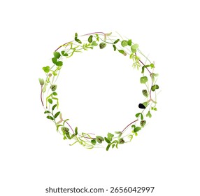 Microgreens dispostos em círculo, criando uma moldura natural e vibrante com espaço de cópia, perfeito para alimentos saudáveis e conceitos de estilo de vida orgânico
