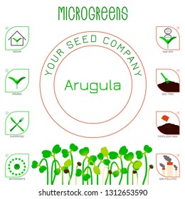 Microgreens Arugula. Seed packaging design. Icons - indoor, organic, superfood, antioxidants, non gmo, soil free, fertilizer free, non polluted