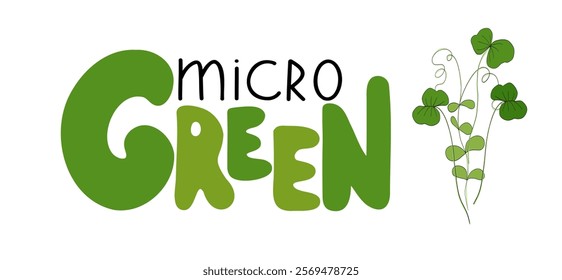 Microgreens or baby greens mix, lettering, logo, illustration objects. Handwritting with fresh sprouts art. Hand drawing banner design. Vegan product. Healthy eating