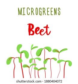 Microgreens Beet. Seed packaging design. Sprouting seeds of a plant. Vitamin supplement, vegan food