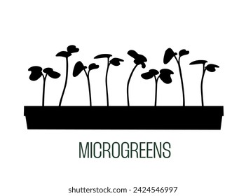 Microgreens in Box Silhouette Vektor-Illustration. Junge grüne Sprossen. Quelle von Nährstoffen und Vitaminen. Heimgärtnerkonzept.