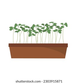 Microgreens in box vector illustration. Young green sprouts. Source of nutrients and vitamins. Home gardening concept.