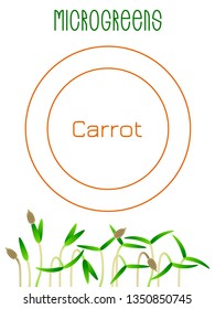 Microgreens Carrot. Seed packaging design. Vitamin supplement, vegan food