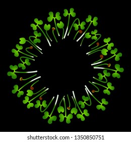 Microgreens Chinese Cabbage. Arranged in a circle. Vitamin supplement, vegan food. Black background