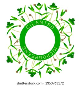 Microgreens Cilantro. Seed packaging design, round element in the center. Around him sprouts. Vitamin supplement, vegan food