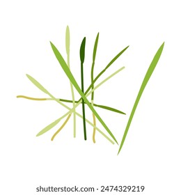 Microgreens clover. Microgreen shoots are the first leaves of clover. Natural organic herb, healthy food. Hand drawn botanical vector color illustration. Raw sprouts with leaves for vitamins salad