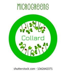 Microgreens Collard. Seed packaging design, round element in the center