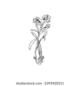 Microgreens coriander. Hand drawn engraved natural organic spice herb. Micro green shoots, raw sprouts with first leaves for vitamins salad, healthy food. Botanical outline vector illustration