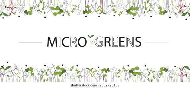 Marco de diseño de la naturaleza fresca de Microgreens