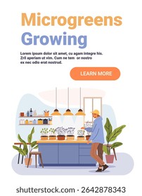Microgreens growing indoor gardening man tending plants modern kitchen potted seedlings houseplants decorative lighting home interior