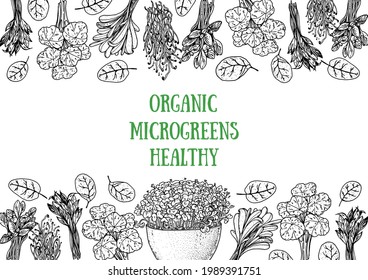 Microgreens hand drawn vector illustration. Sketch style. Organic healthy food. Microgreens sprouts. Good nutrition. Design for packaging and more.