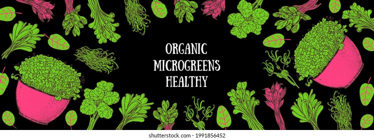 Microgreens handgezeichnete Vektorgrafik. Bio gesunde Lebensmittel. Microgreens Sprossen. Gute Ernährung. Design für Verpackung und mehr.