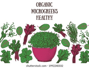 Microgreens hand drawn vector illustration. Organic healthy food. Microgreens sprouts. Good nutrition. Design for packaging and more.