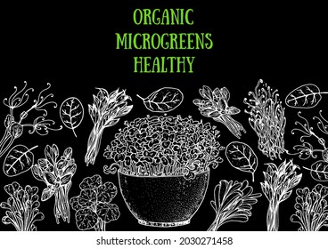 Microgreens hand drawn vector illustration. Sketch style. Organic healthy food. Microgreens sprouts. Good nutrition. Design for packaging and more.