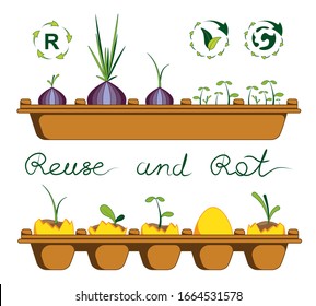 Microgreens for home gardening. Garden in the flat.  Ecology lifestyle. Reuse and rot of eggshells. plants growth in the eggs container. Zero waste lifestyle. Happy Easter 