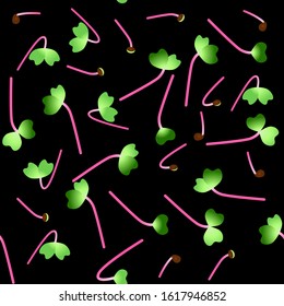 Microgreens Hong Vit Radish. Sprouting seeds of a plant. Seamless pattern. Vitamin supplement, vegan food.