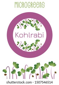 Microgreens Kohlrabi. Seed packaging design, round element in the center. Sprouting seeds of a plant. Vitamin supplement, vegan food
