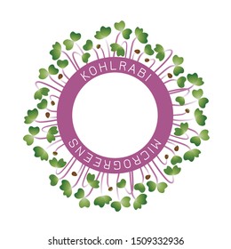 Microgreens Kohlrabi. Seed packaging design, round element in the center. Around him sprouts. Vitamin supplement, vegan food