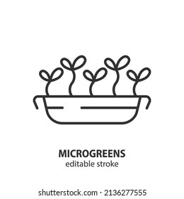 Microgreens line icon. Sprouts microgreen in a pot vector sign. Growing greens for food. Editable stroke.