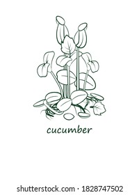 Microgreens. Low calorie diet and healthy eating. Text. Close-up. The outline is dark green, the fill is white. The background is white. Design element. Vector illustration.