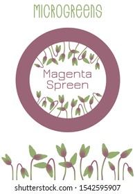 Microgreens Magenta Spreen. Seed packaging design, round element in the center. Sprouting seeds of a plant