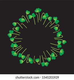 Microgreens Mizuna. Arranged in a circle. White background. Black background