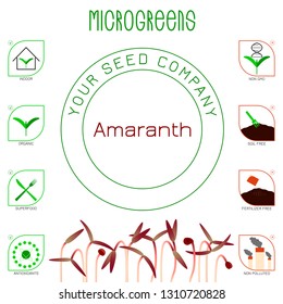 Microgreens Red Amaranth. Seed packaging design. Icons - indoor, organic, superfood, antioxidants, non gmo, soil free, fertilizer free, non polluted