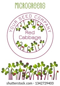 Microgreens Red Cabbage. Seed packaging design. Vitamin supplement, vegan food