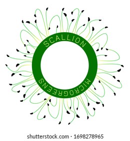 Microgreens Scallions. Seed packaging design, round element in the center. Around him sprouts