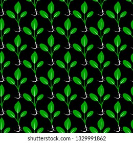 Microgreens. Seamless pattern. Vitamin supplement, vegan food. Black background. Symmetrical arrangement