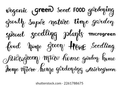 Microgreens seeds lettering. Set Vector doodle illustration. Calligraphy text objects