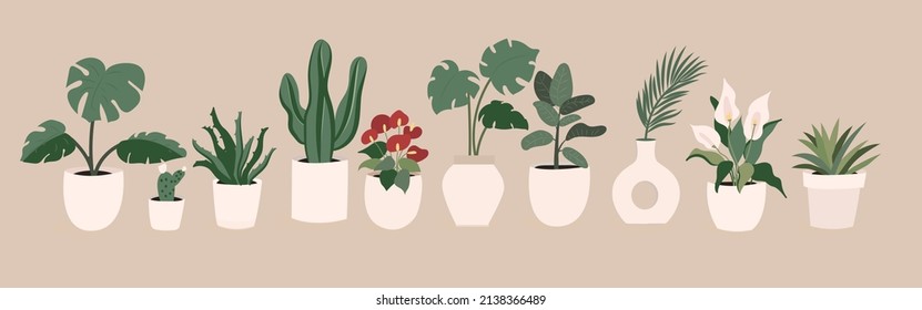 Micro-greens set. . The concept of healthy eating. Growing superfoods at home. Vector flat illustration.