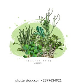 Microgreens shoots of salad vegetables for food packs design, sketch hand drawn vector illustration isolated on white background. Microgreens herbs and sprouts.