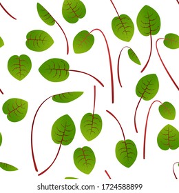 Microgreens Sorrel. Sprouting seeds of a plant. Seamless pattern. Vitamin supplement, vegan food.