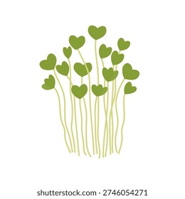 Microgreens sprouts. Green plant  in flat cartoon style. Illustration on isolated background. Concept with heart leaves greenery. Healthy food, organic ingredient. Design element for logo