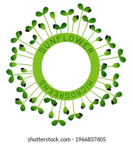 Microgreens Sunflower. Seed packaging design, round element in the center. Around him sprouts
