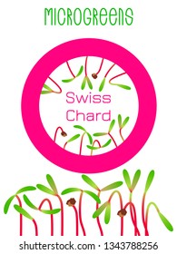 Microgreens Swiss Chard. Seed packaging design, round element in the center. Sprouting seeds of a plant. Vitamin supplement, vegan food
