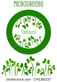 Microgreens Tatsoi. Seed packaging design, round element in the center. Sprouting seeds of a plant
