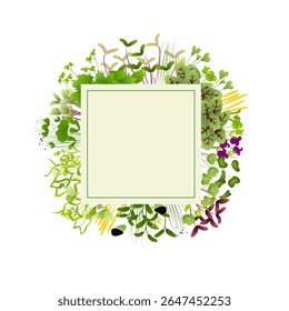 Microgreens in various colors and shapes arranged in a circle around a square frame create a vibrant design highlighting their nutritional benefits