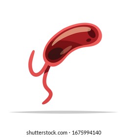 Microorganism bacteria with tails vector isolated illustration