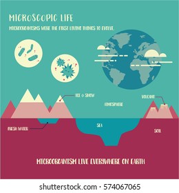 Microorganism life info-graphic illustration vector