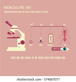 Microorganism life infographic illustration vector