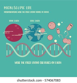 Microorganism life infographic illustration vector