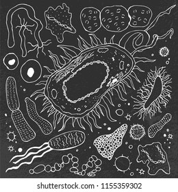 Microorganisms and bacteria hand-drawn image. Single celled microbes pattern. Vector illustration in white color isolated on a dark grey textured background. Biological concept in unique style.