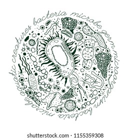 Microorganisms and bacteria hand-drawn image. Single celled microbes pattern. Editable vector illustration in dark green color isolated on a white background. Biological concept in unique style.