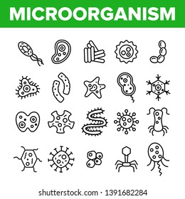 Microorganisms Cells Thin Line Icons Vector Set. Viruses, Bacterias, Unicellular Organisms, Protozoa Linear Illustrations. Cocci And Bacillus. Infectious Agent, Bacteriophage Isolated Outline Drawings