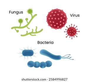 Microorganisms Fungi Viruses and Bacteria