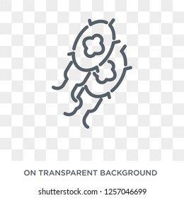 Microorganisms icon. Microorganisms design concept from Science collection. Simple element vector illustration on transparent background.